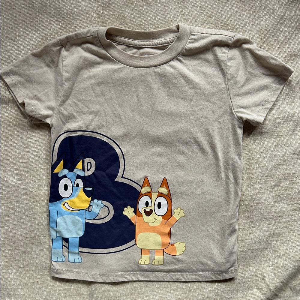 Kids Bluey & Bingo Character T-Shirt - Gray